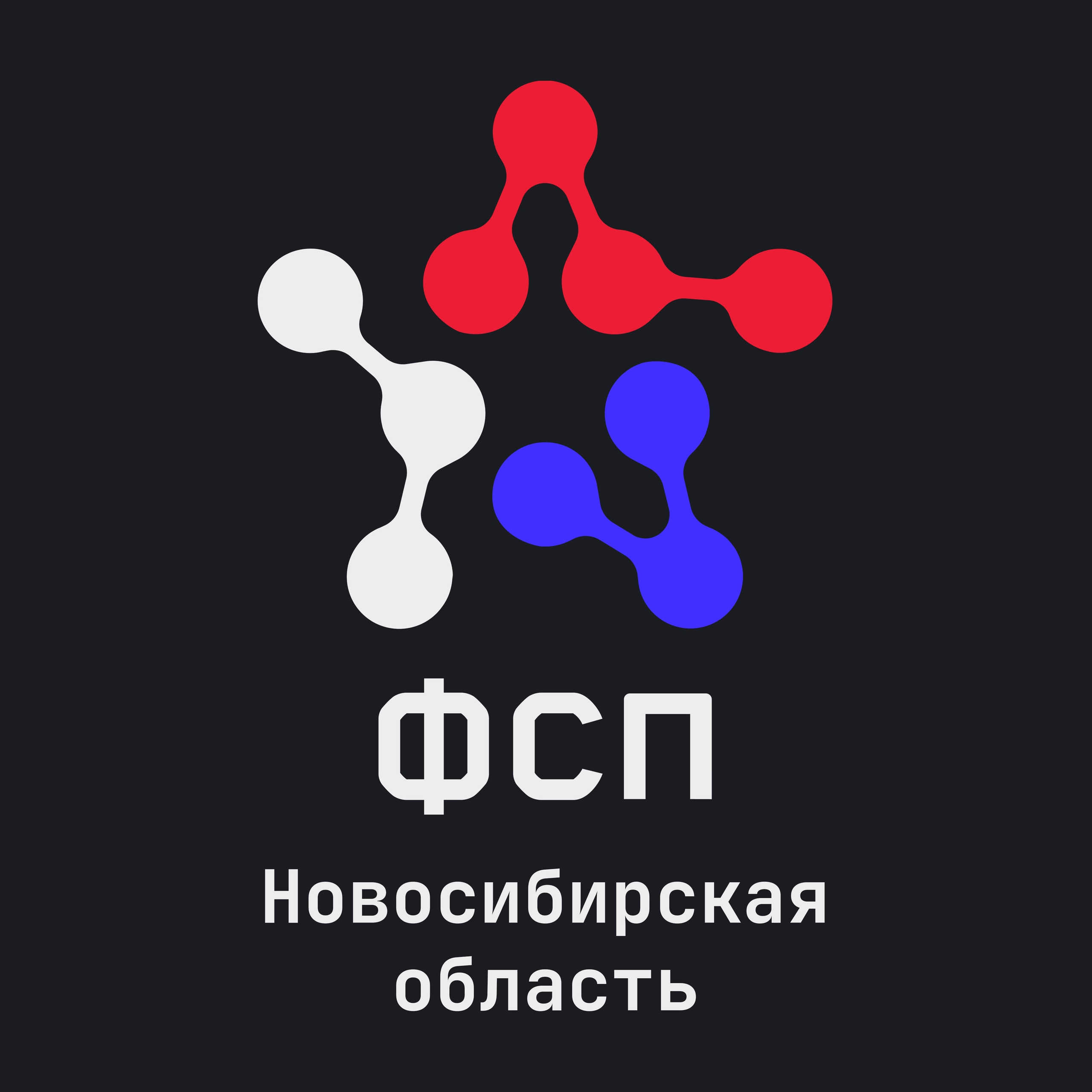 ФСП НО